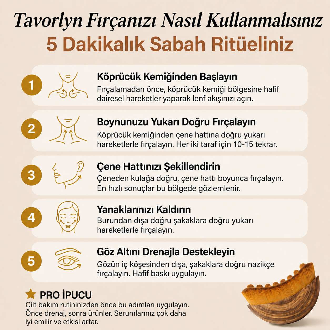 Tavorlyn Lenfatik Masaj Fırçası